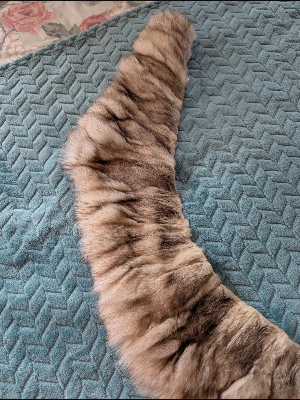 Real Artic Fox Fur Collar Scarf